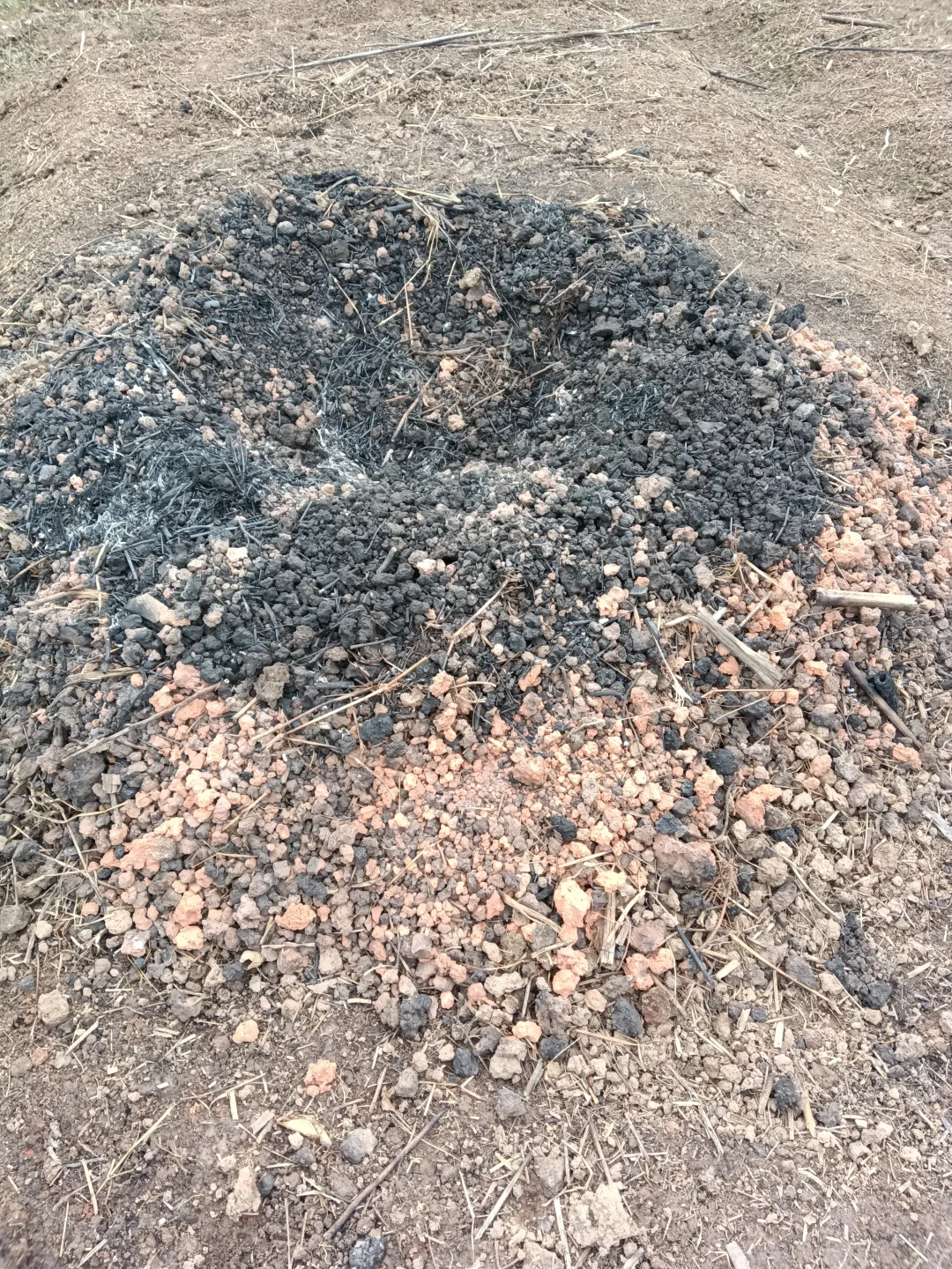 老法子种出的天然味道