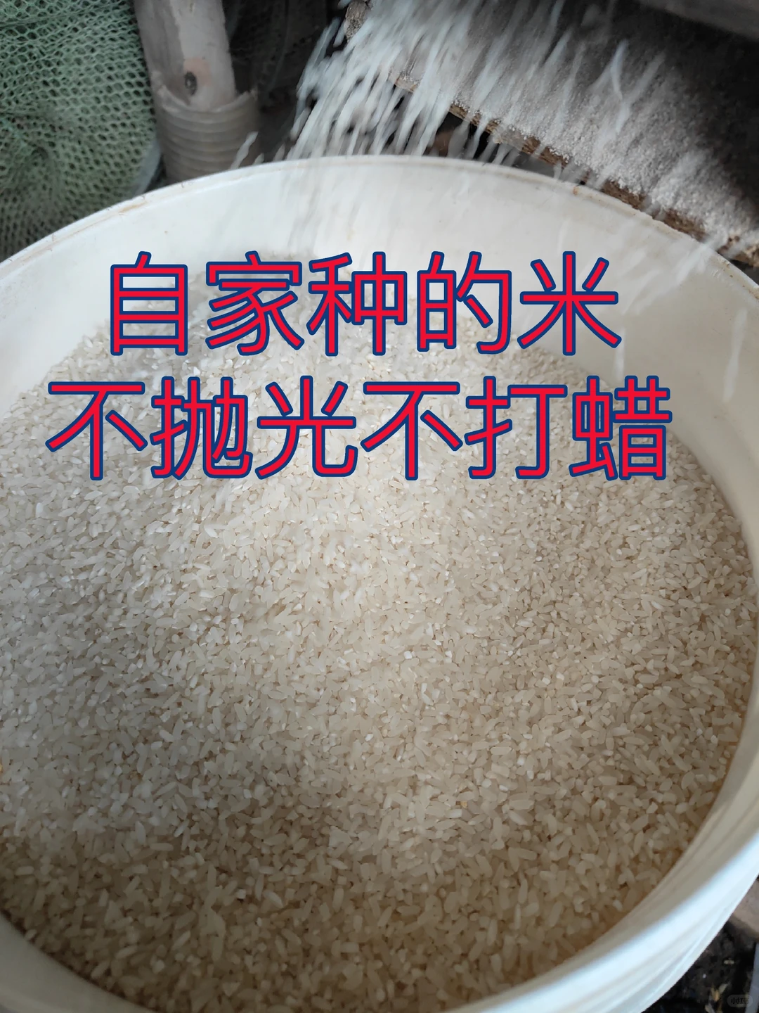 自家米纯天然无添加