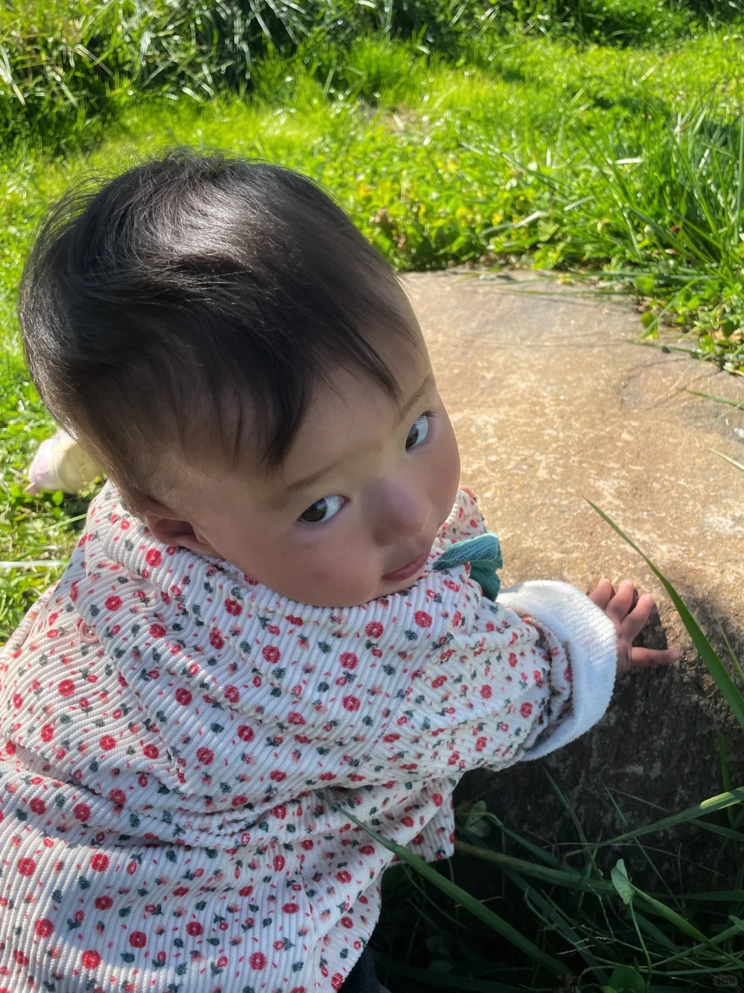 在自然里轻轻走走 就有丰富的收获和答案