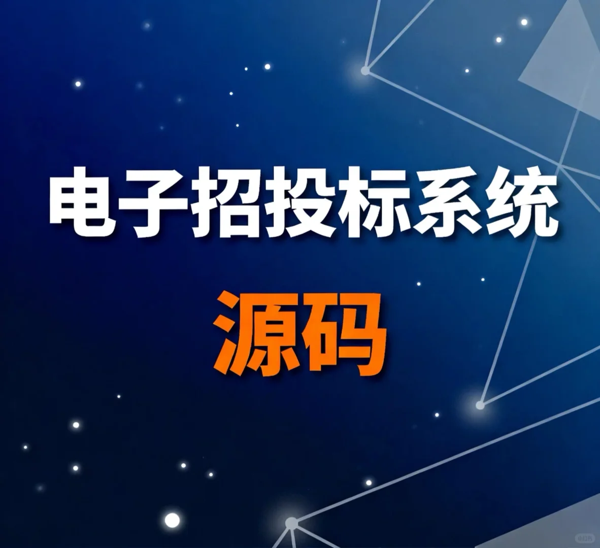 JAVA电子招投标系统，政采企采系统、招标系统