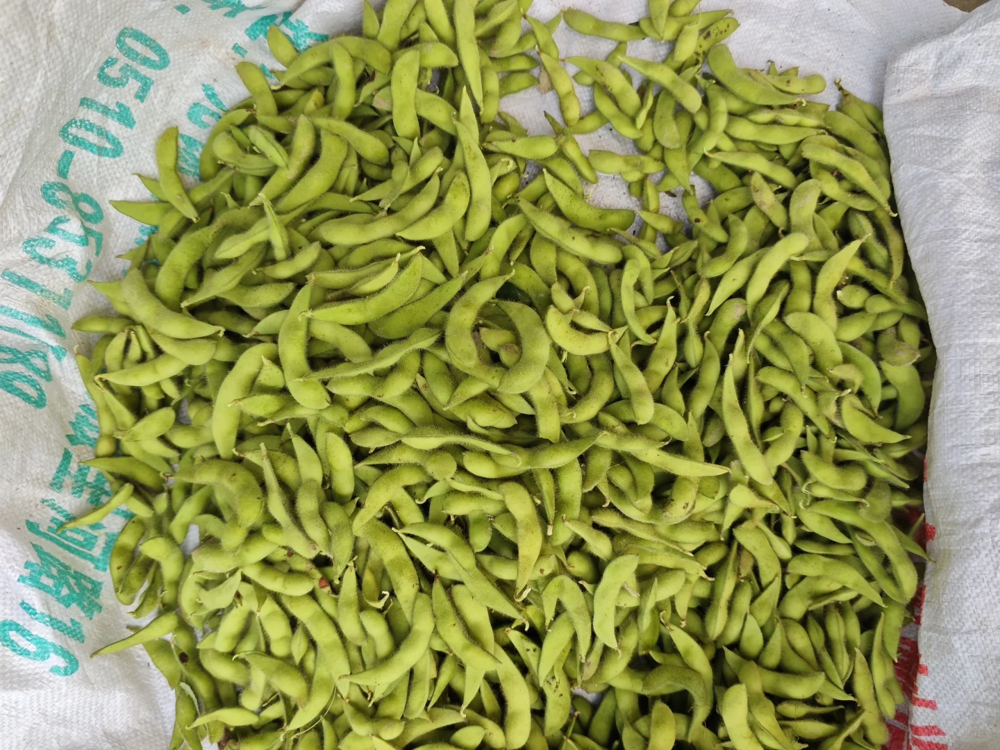 绿色种植水果蔬菜