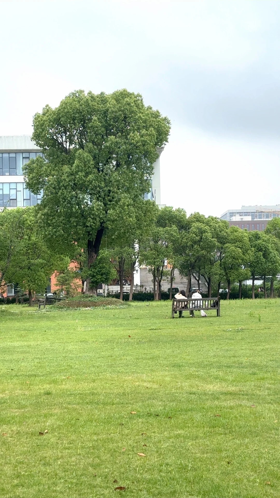 苏大图书馆自习的日子