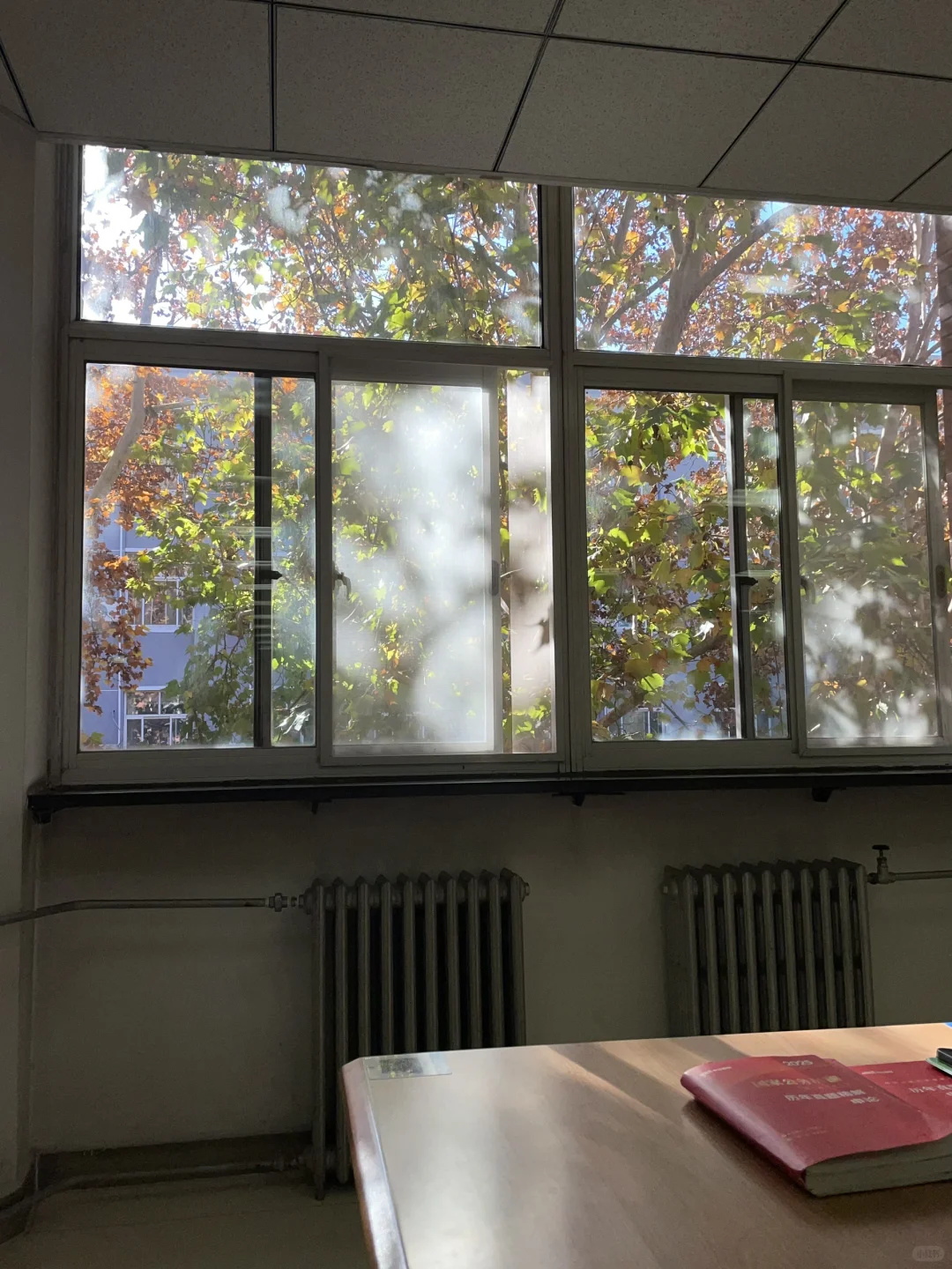 大四那年秋天（二）