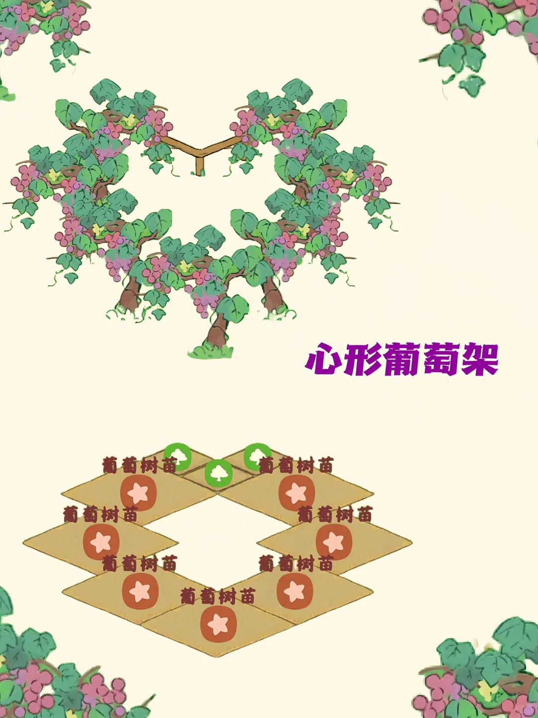 桃源‖????果树合集！