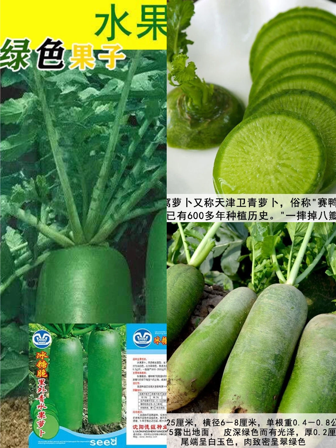 ?冰糖水果萝卜种子,秋季美味种植?