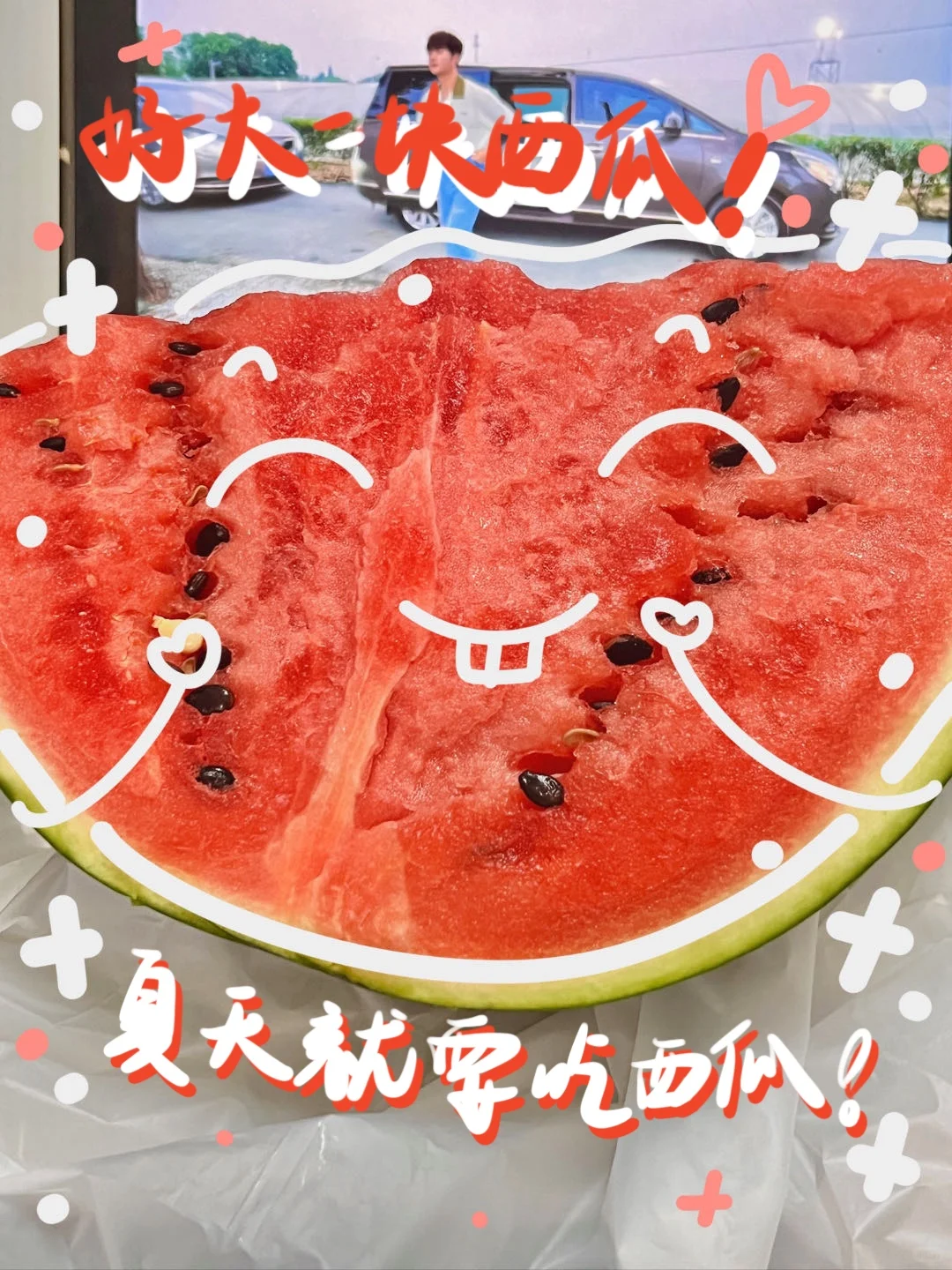 土のplog｜?夏天的水果是来报恩的吧?