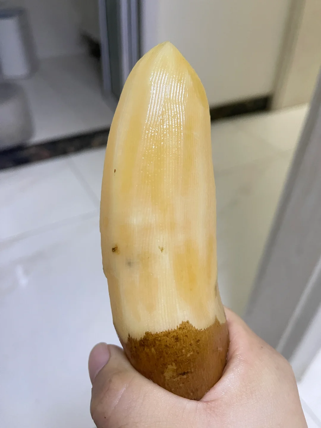 生平第一次吃雪莲果