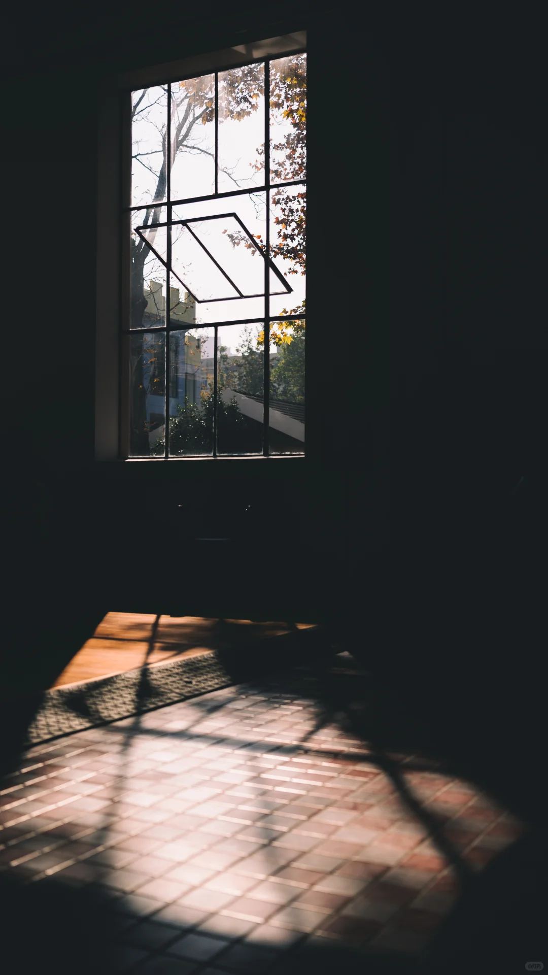 浙江图书馆大学路馆