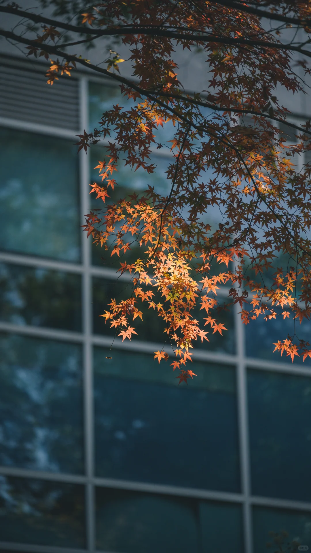 浙江图书馆大学路馆