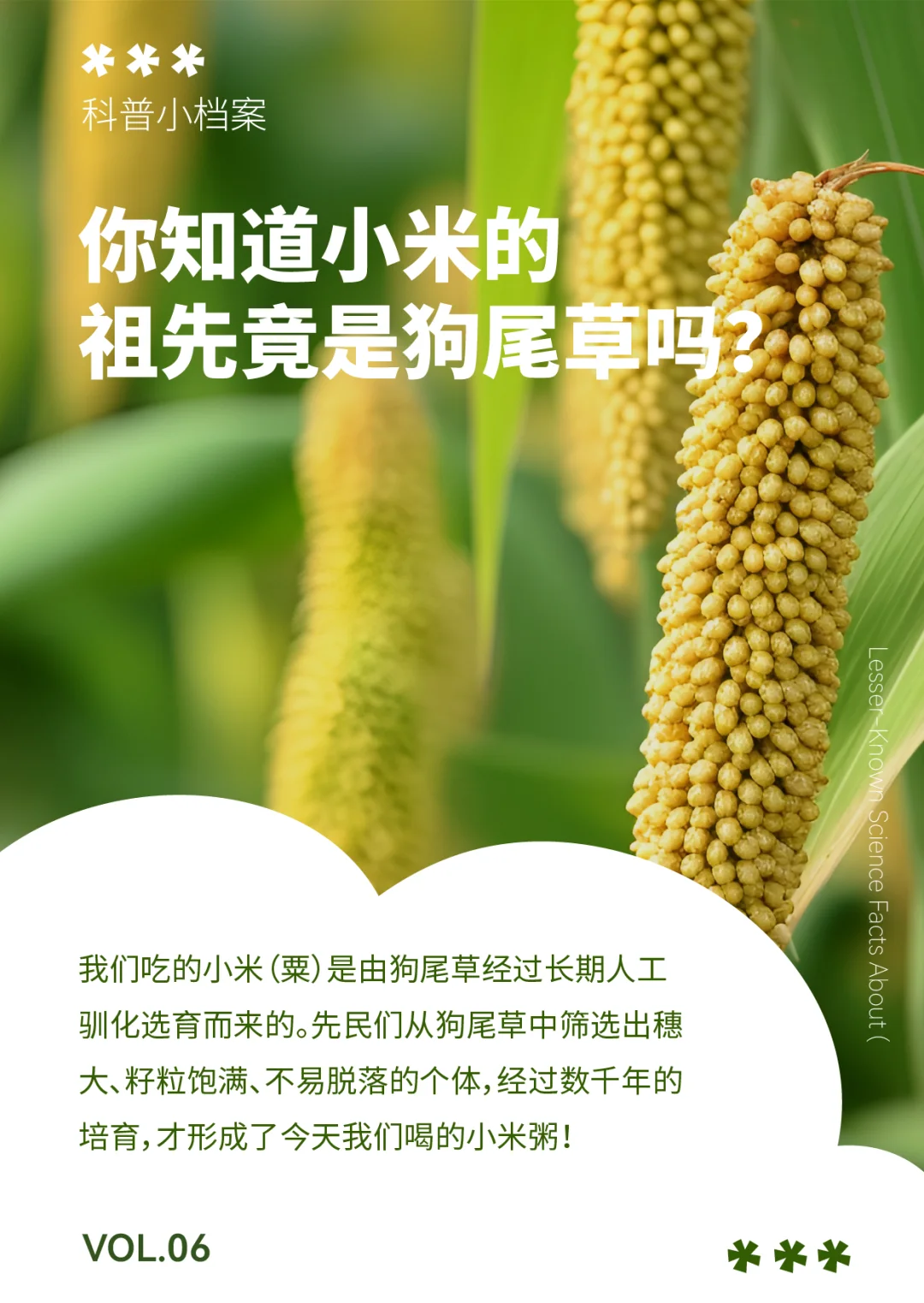 ?自然通识小百科VOL.6 | 粮食说明书