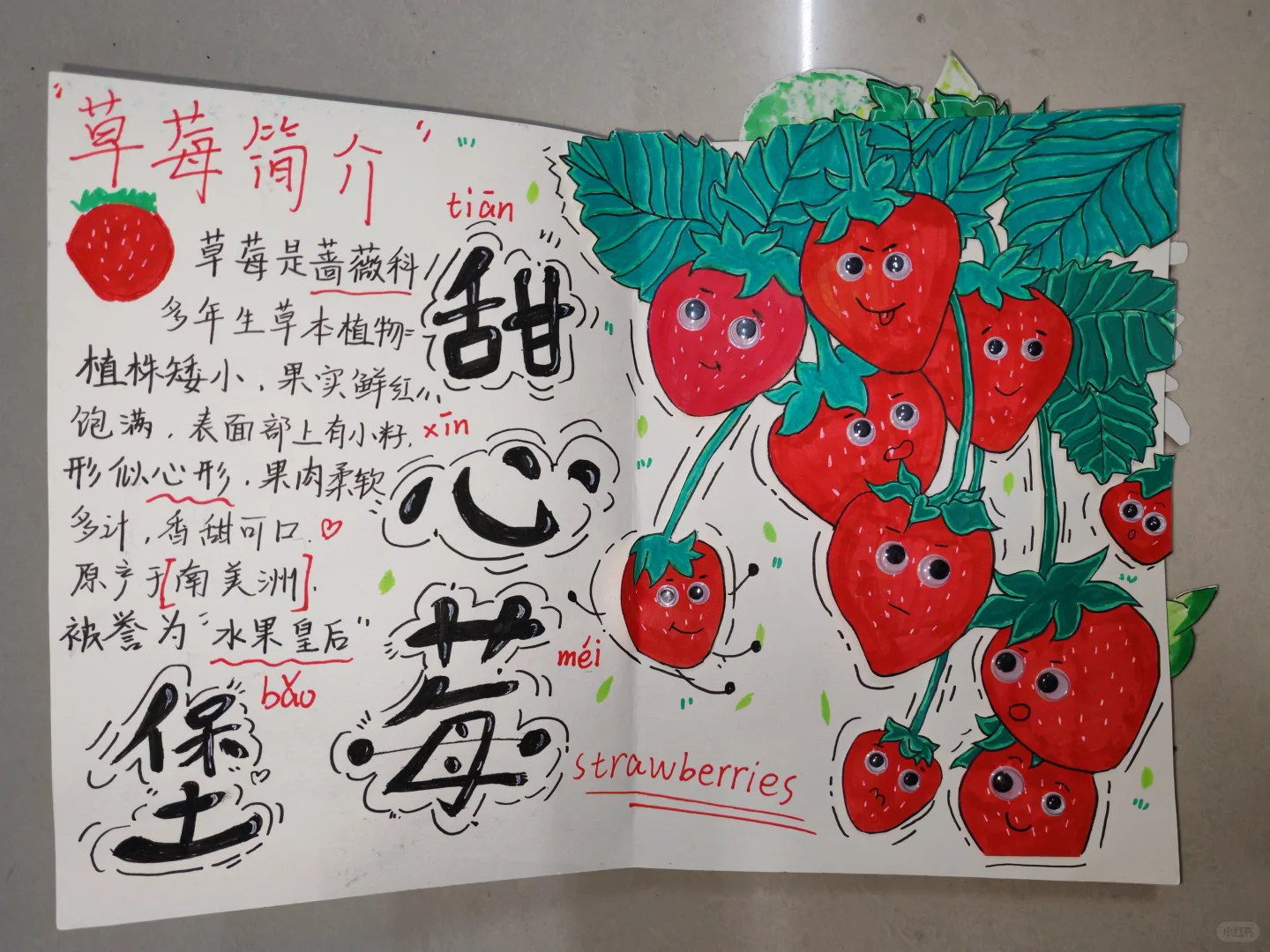 原创绘本《水果王国》学前教育美术期末作品