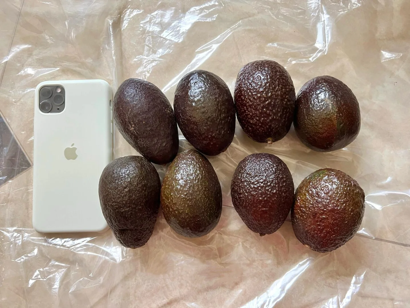 牛油果到底算是水果还是蔬菜呀？