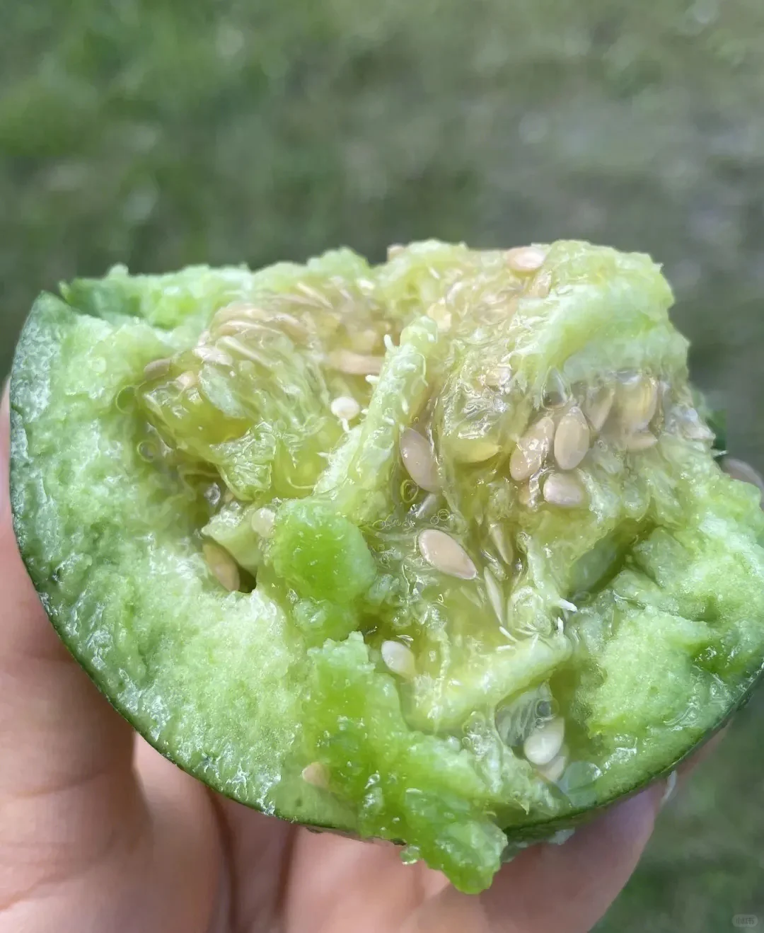 这个夏天不能错过的农场水果~