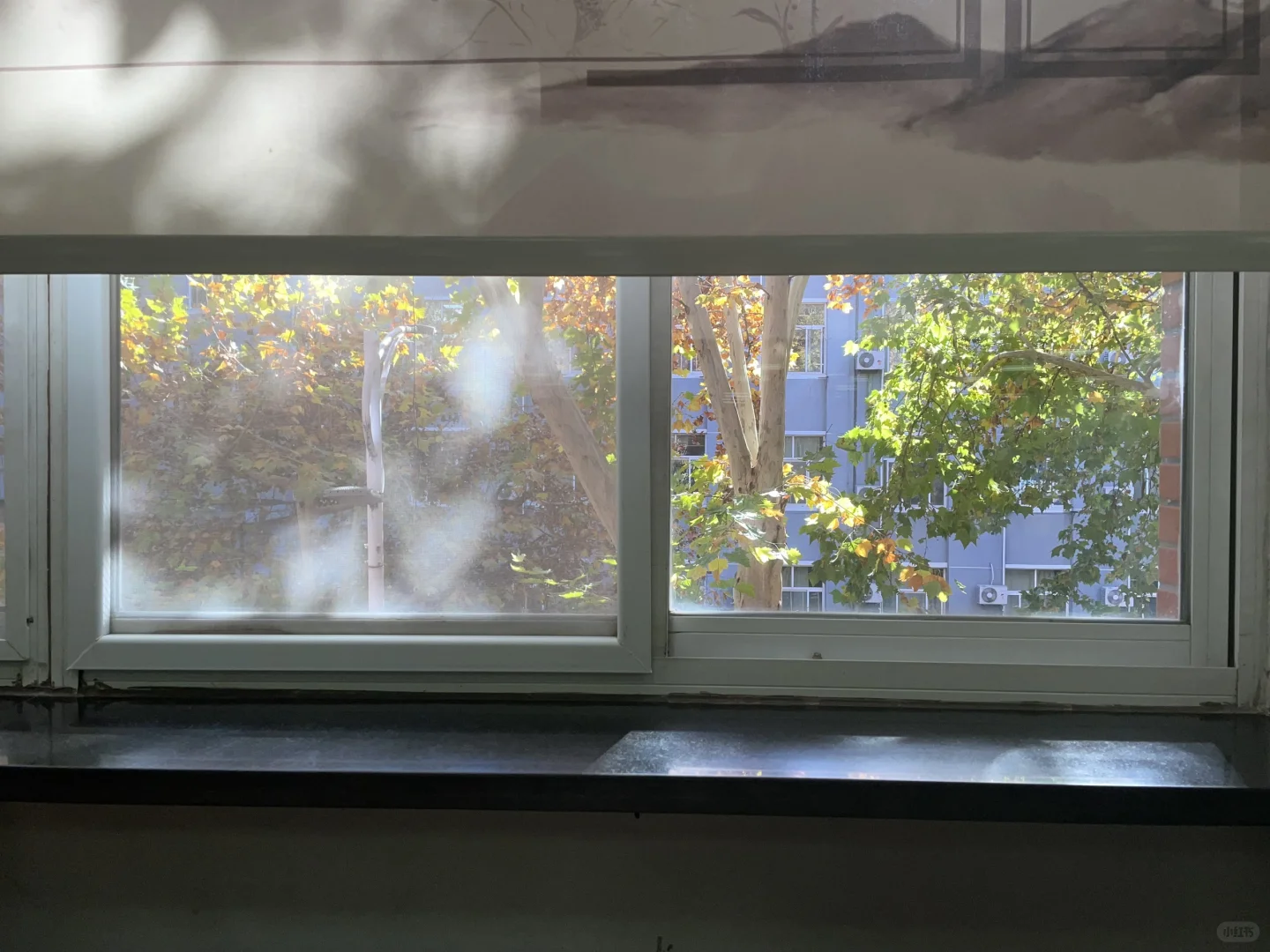 大四那年秋天（二）