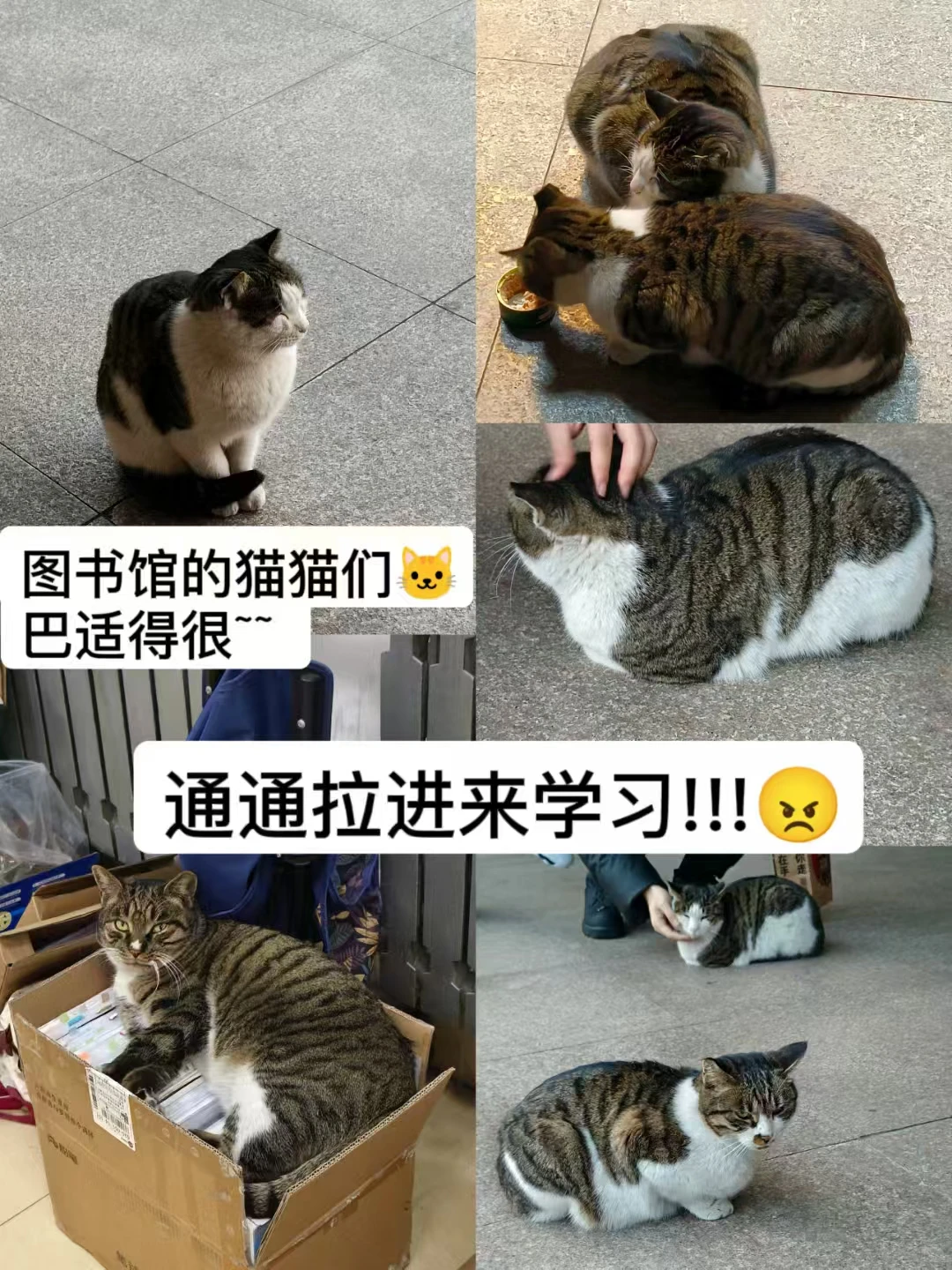 期末周哪有不疯的……