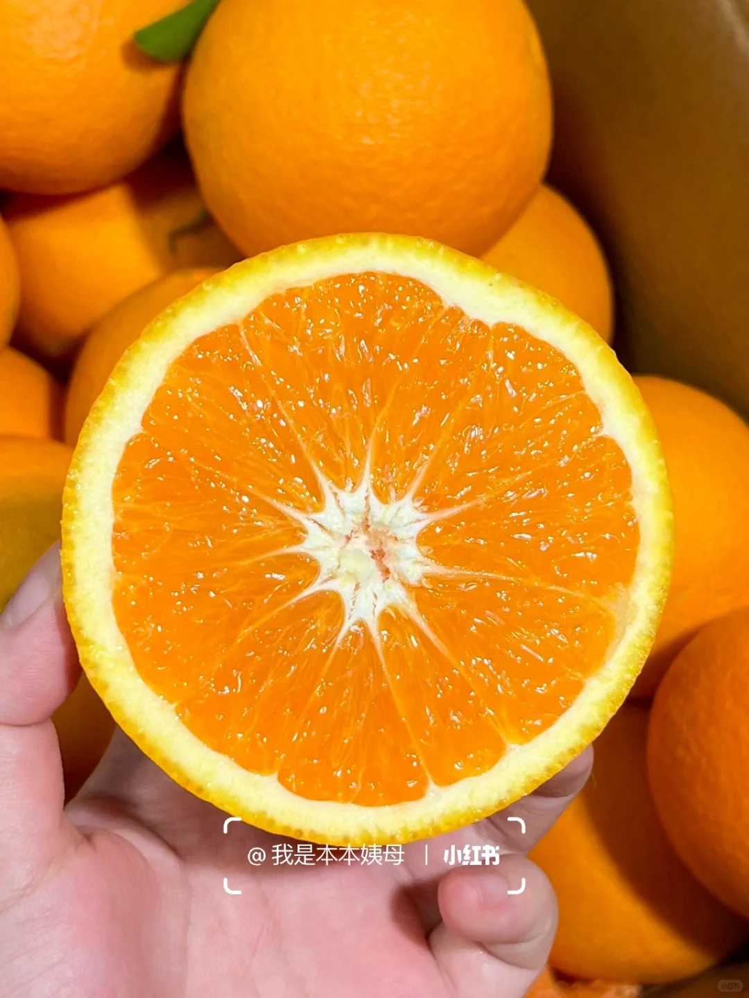 啊啊随便瞎买的橙子…巨巨巨好吃！爆甜没渣！！