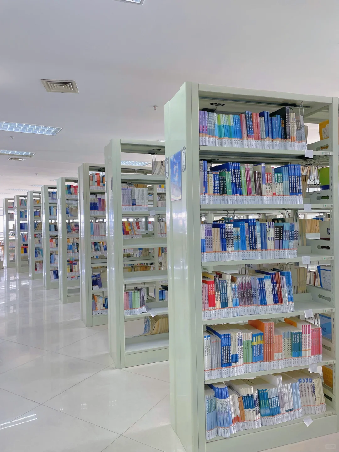 学校的图书馆：像是闯入另一个仙境