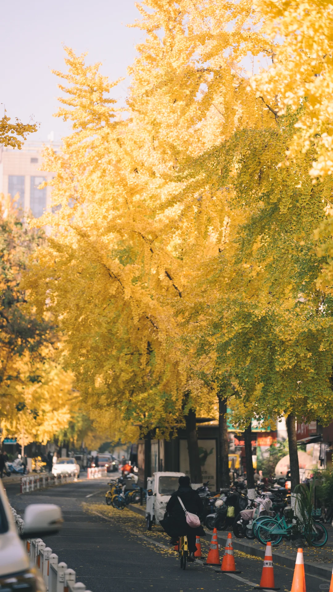 浙江图书馆大学路馆