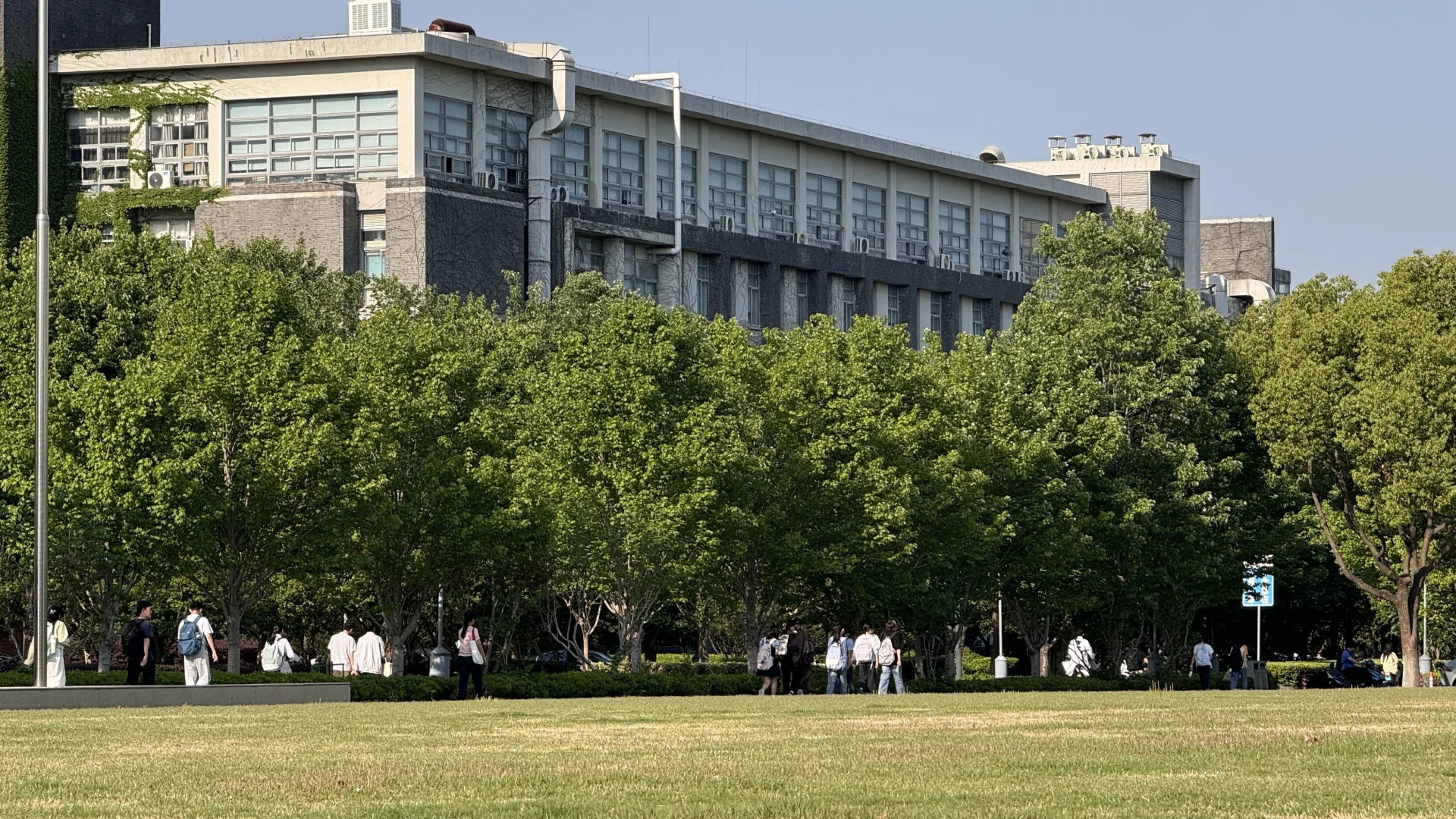 苏大图书馆自习的日子