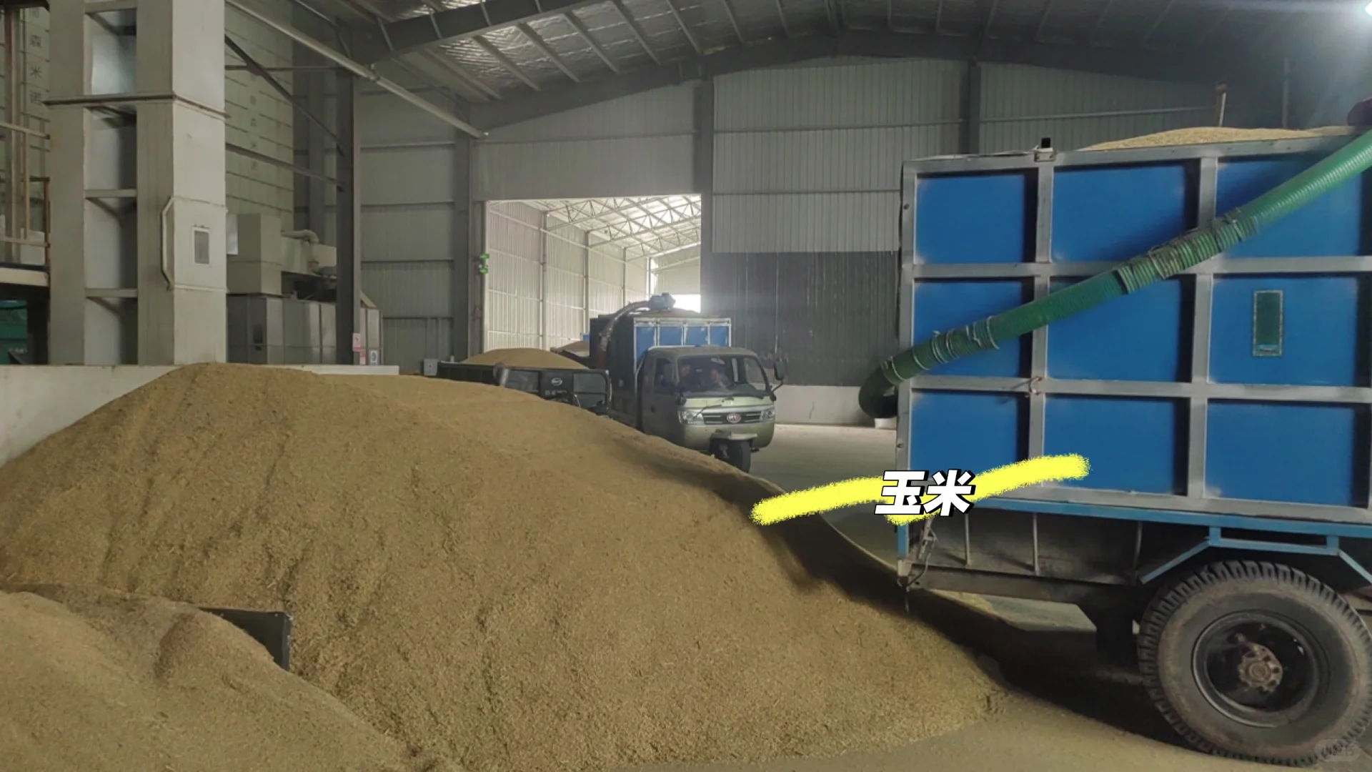 贸易带量农产品稻谷