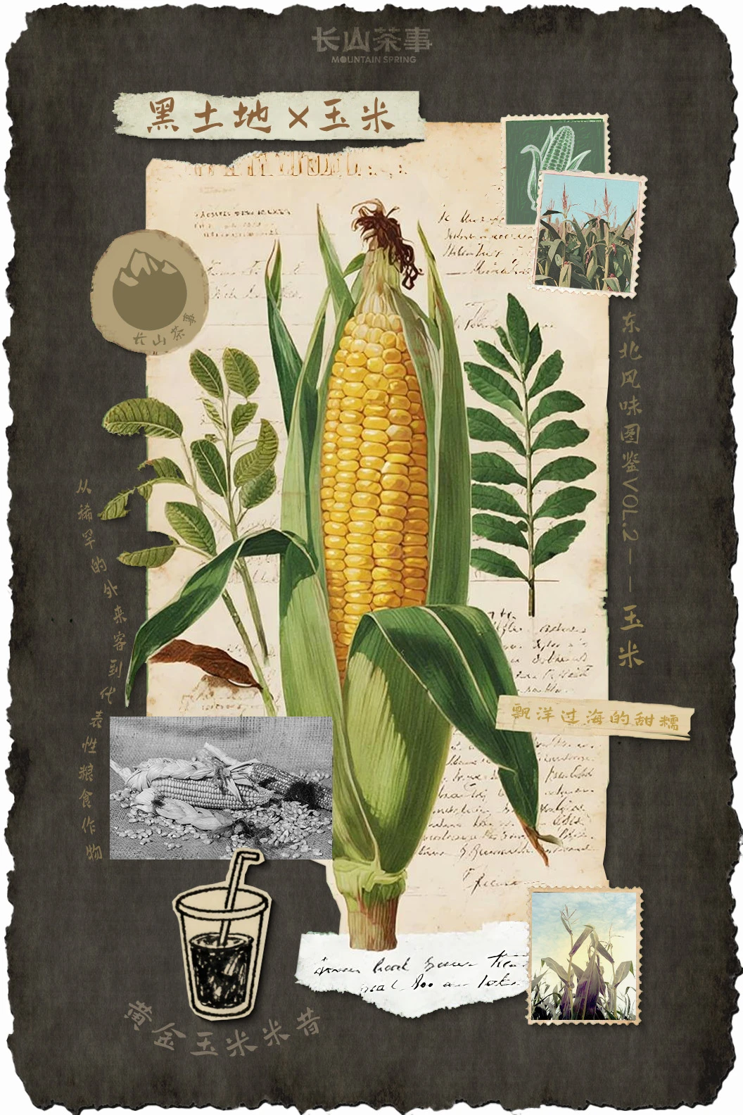 玉米脑袋来了东北就别想走了！！！