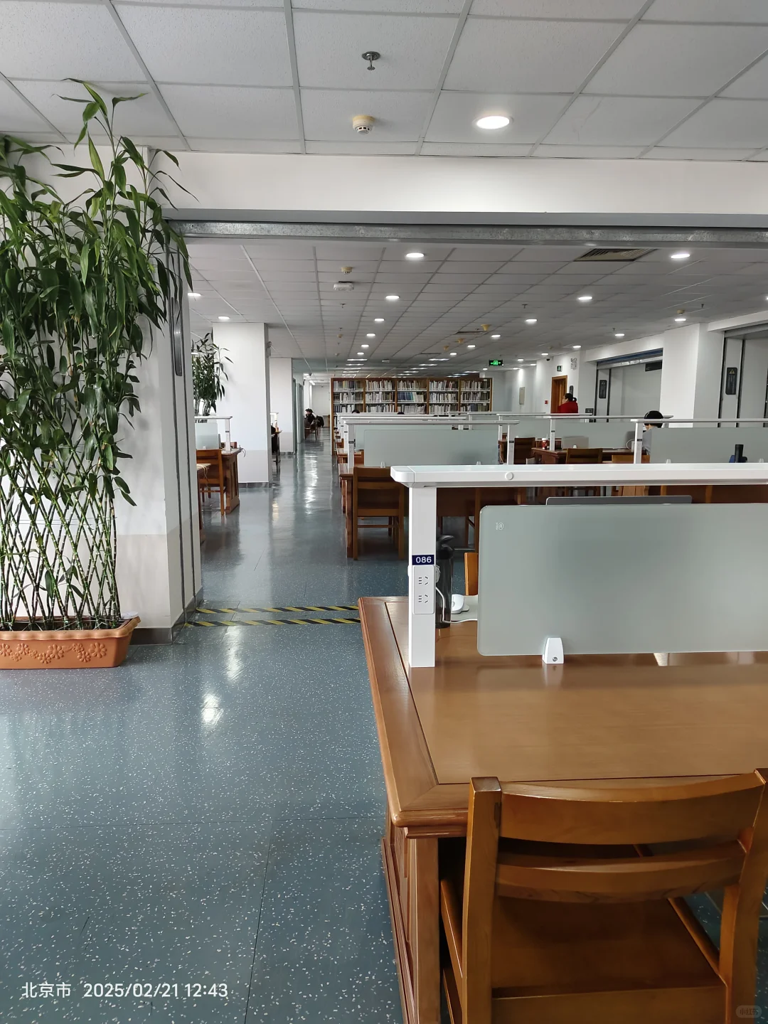 北师大丨图书馆新桌子舒服得想住进来