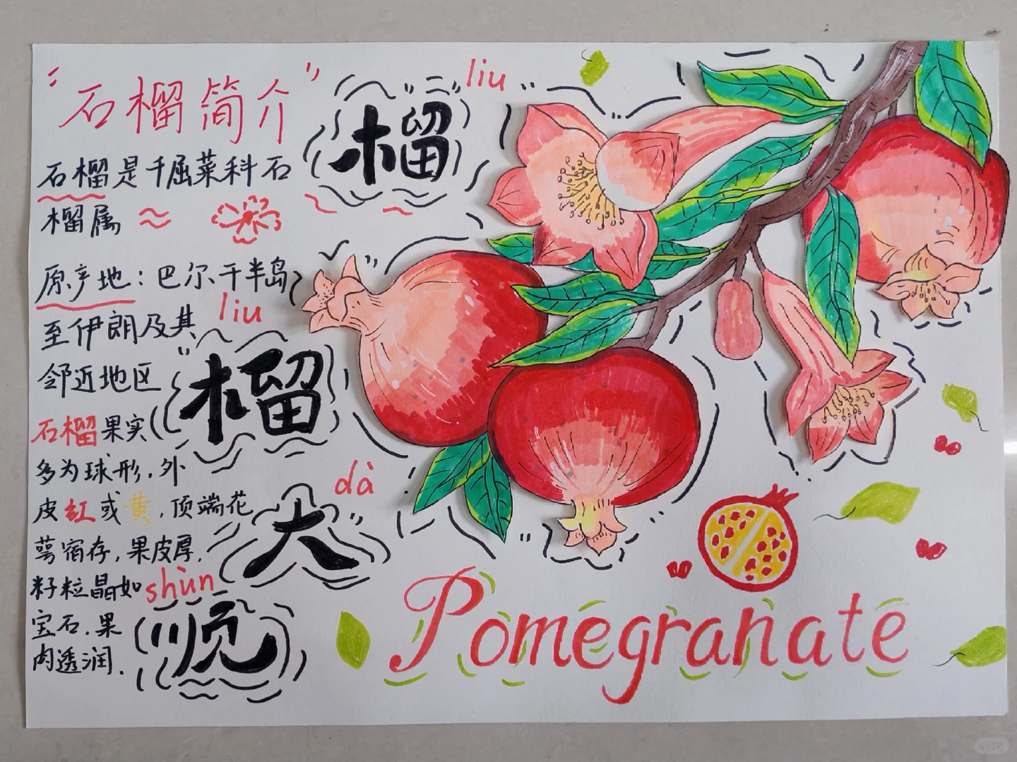 原创绘本《水果王国》学前教育美术期末作品