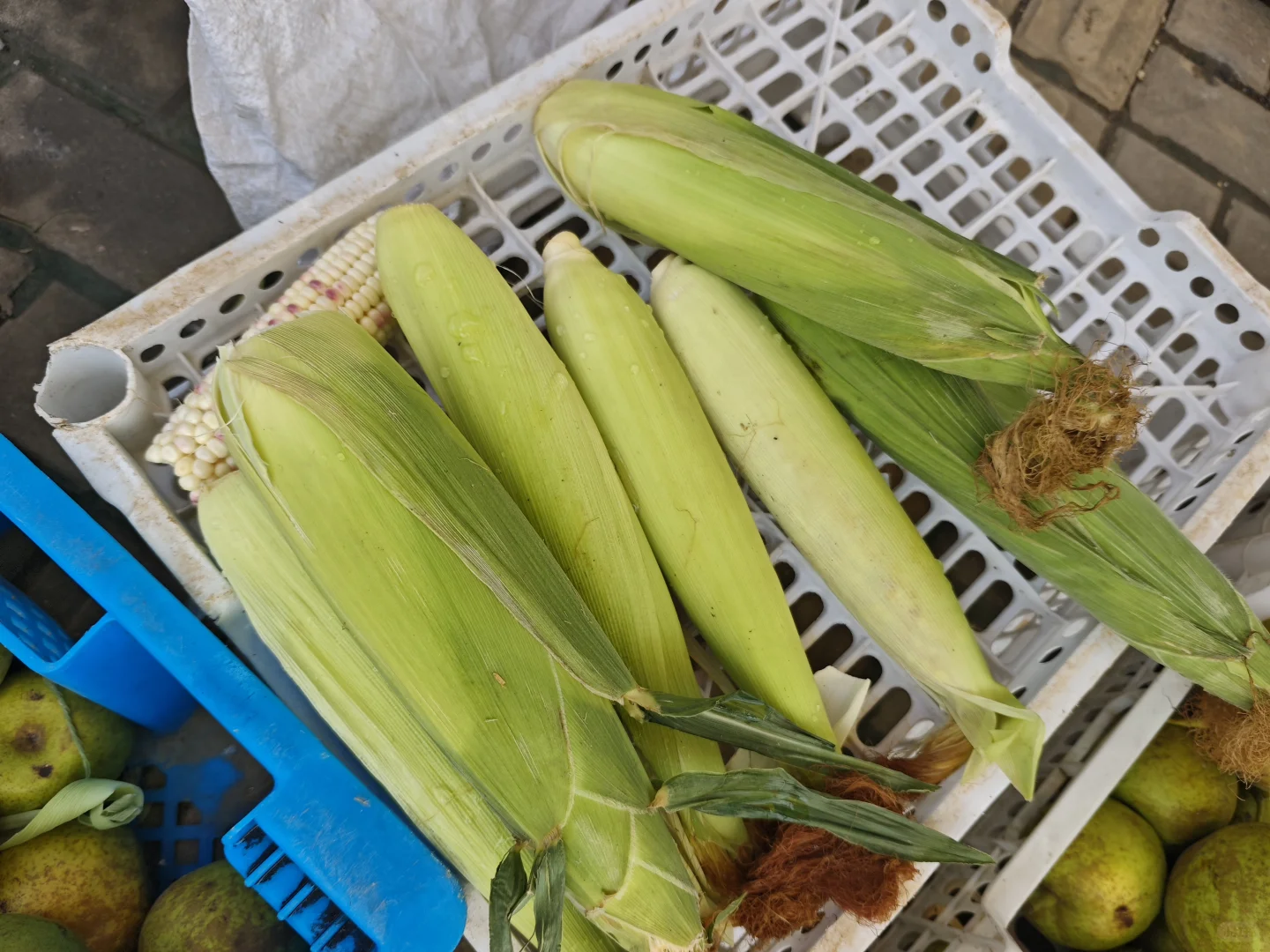 绿色种植水果蔬菜