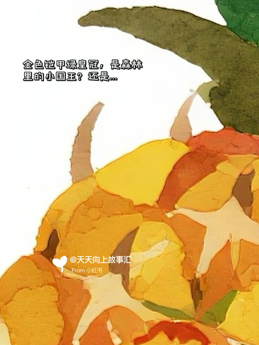 儿童故事｜水果捉迷藏?