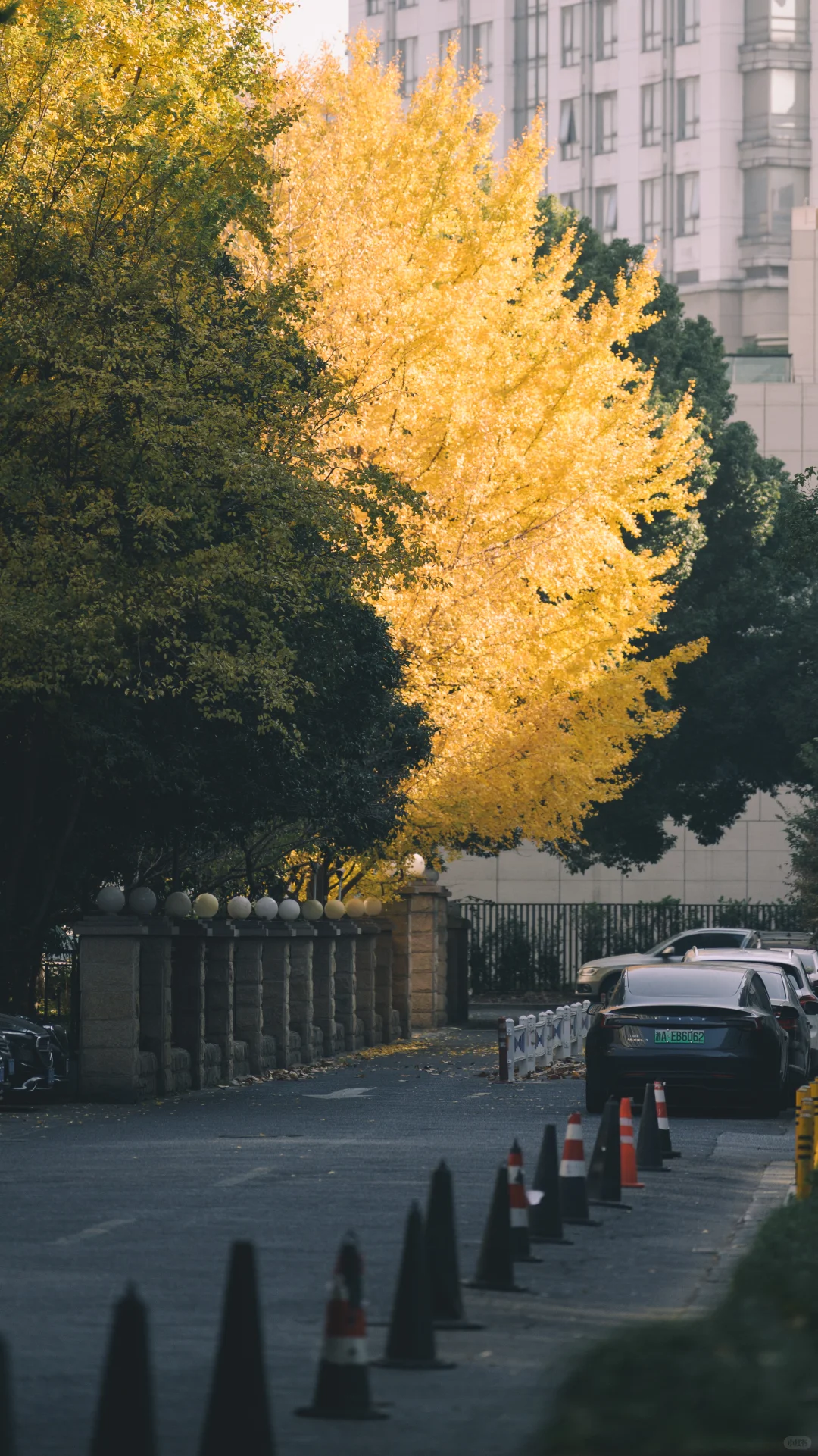 浙江图书馆大学路馆