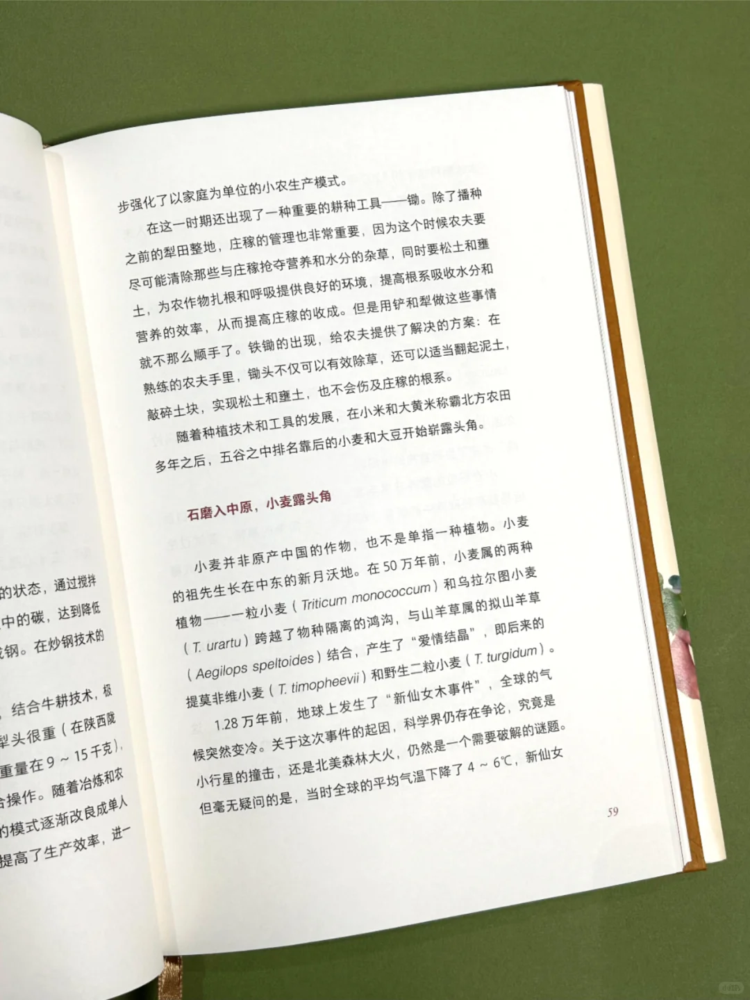 不吃主食就是没吃饭？中国人为什么爱主食？
