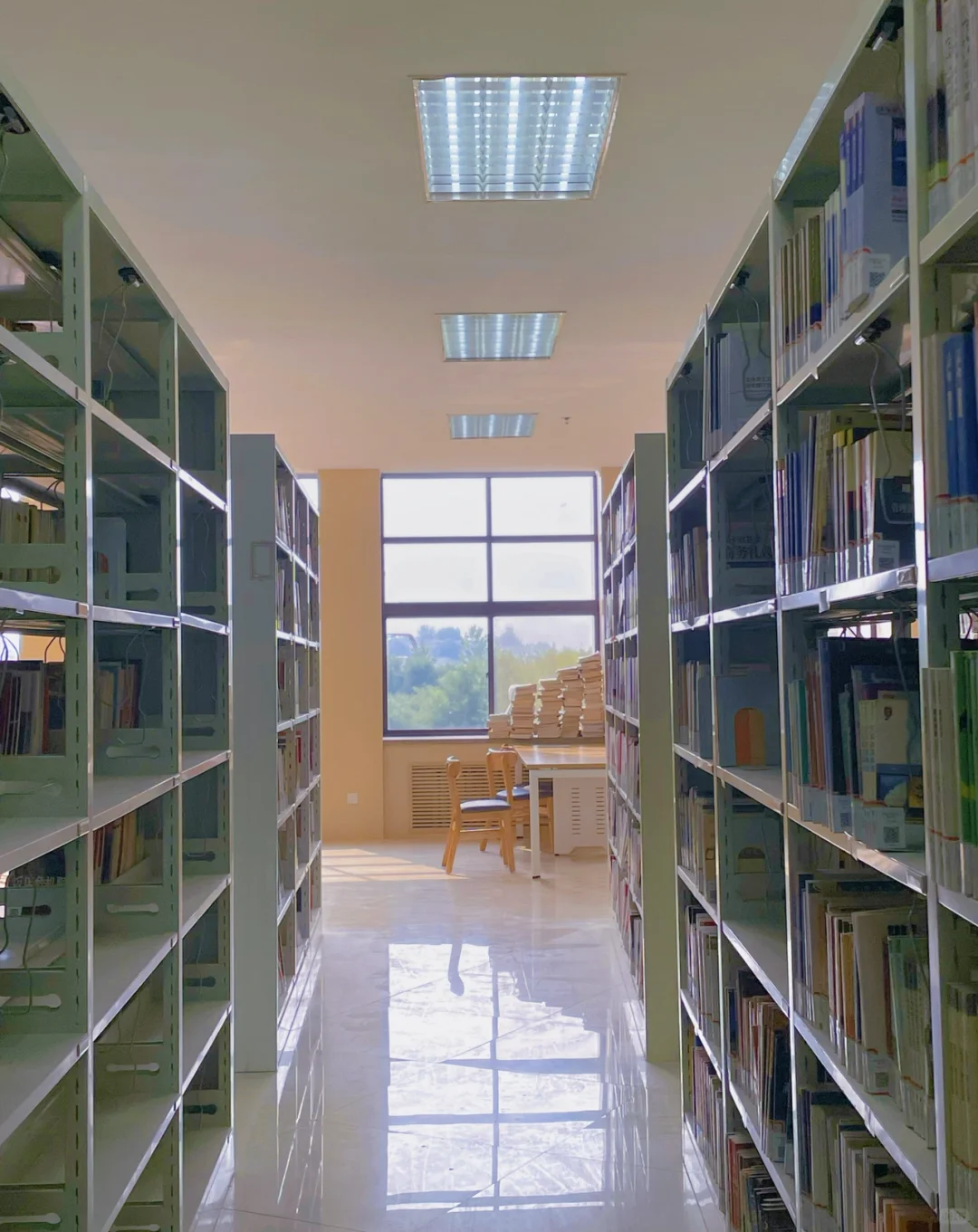 学校的图书馆：像是闯入另一个仙境