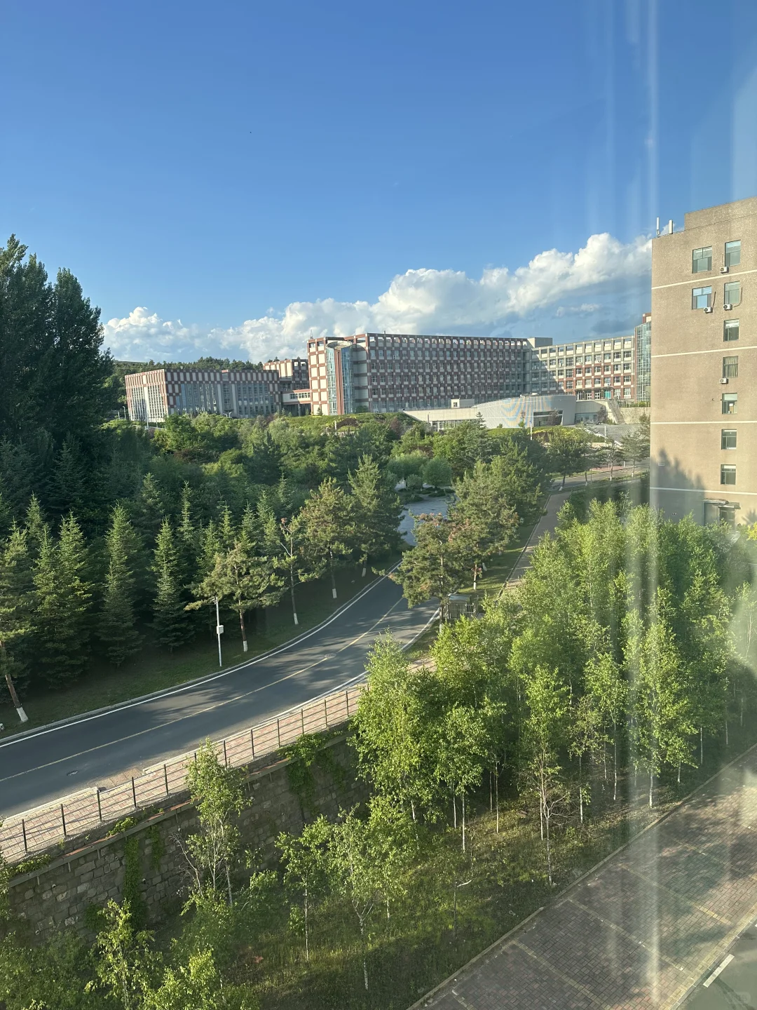 延大图书馆，你让我感到陌生