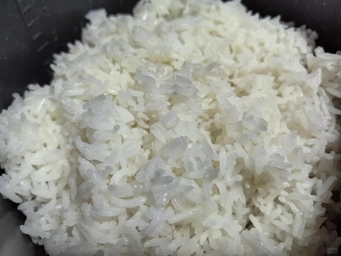 专业供应餐饮优质大