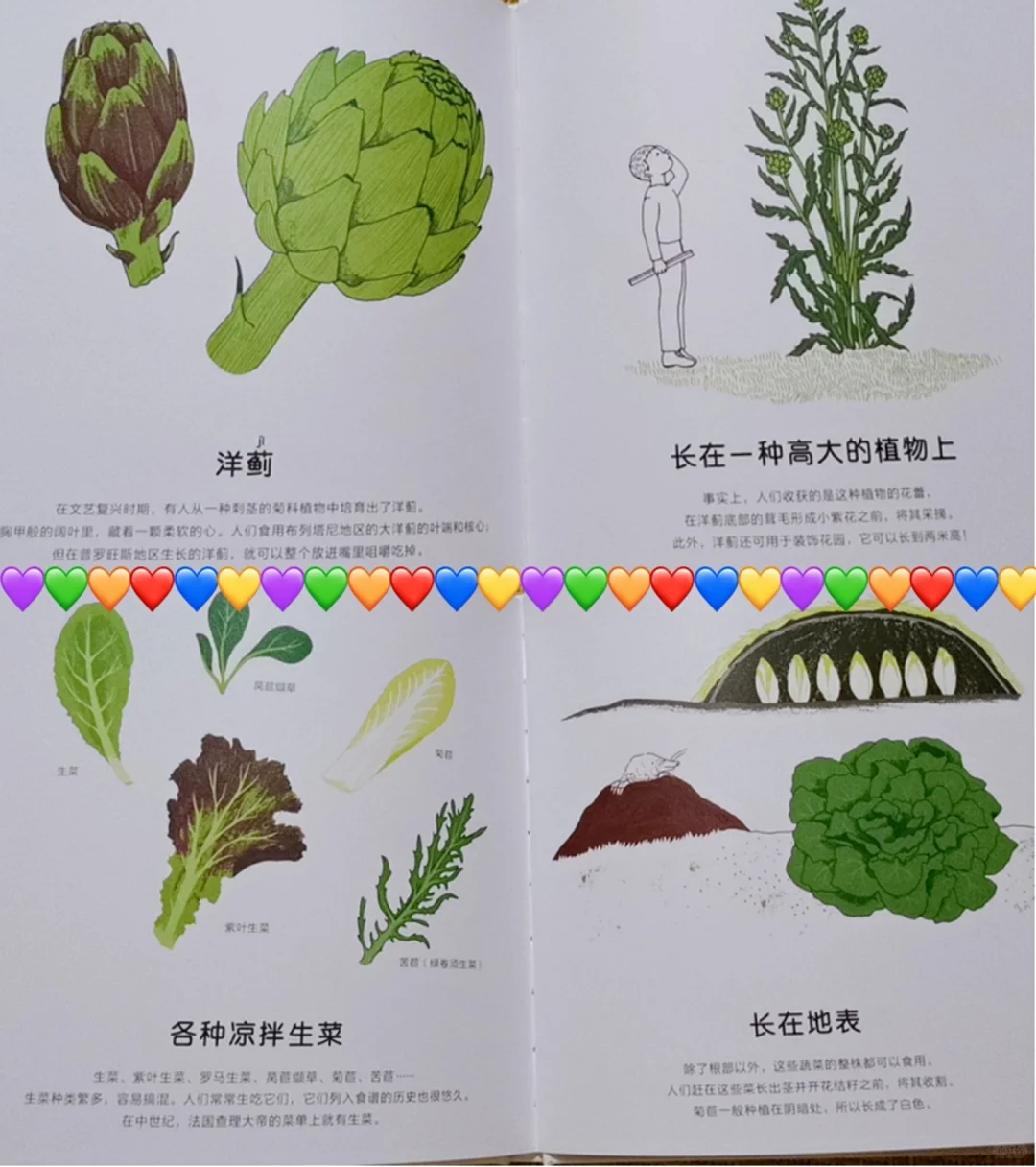 呀？蔬菜水果