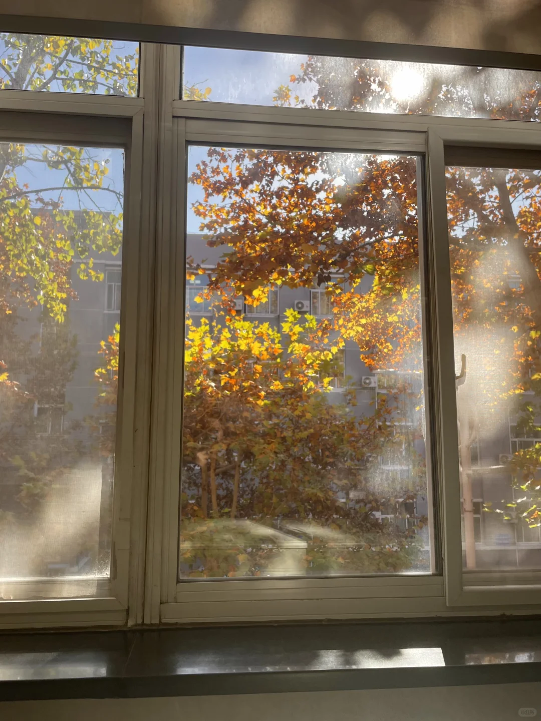 大四那年秋天（二）