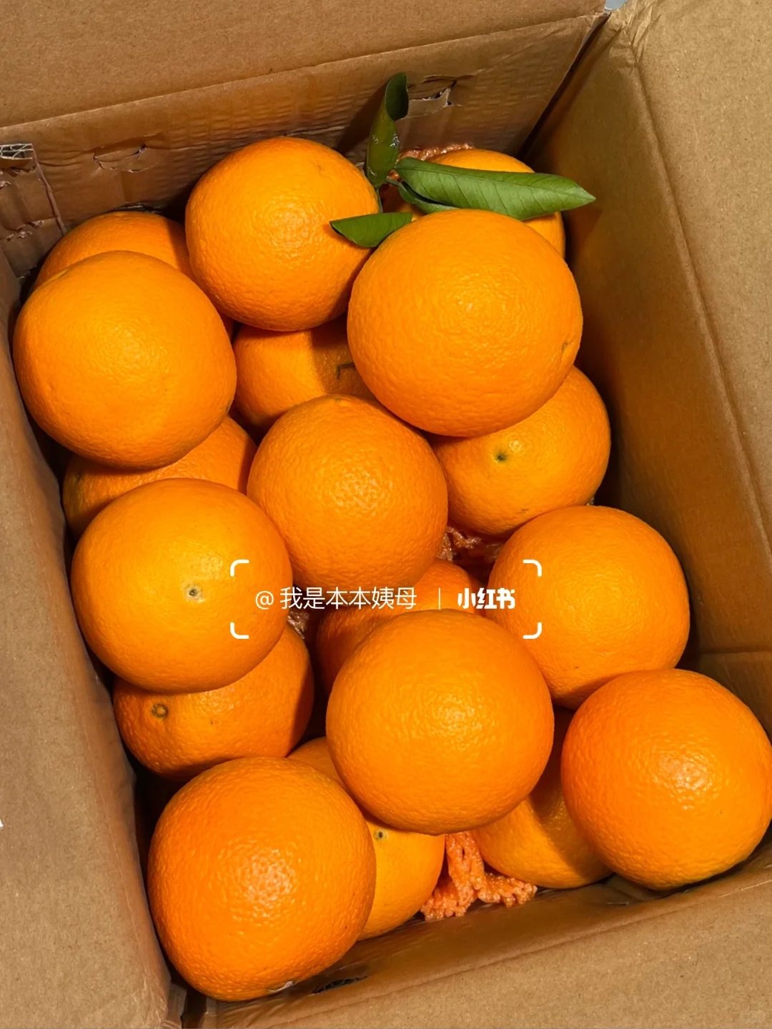 啊啊随便瞎买的橙子…巨巨巨好吃！爆甜没渣！！