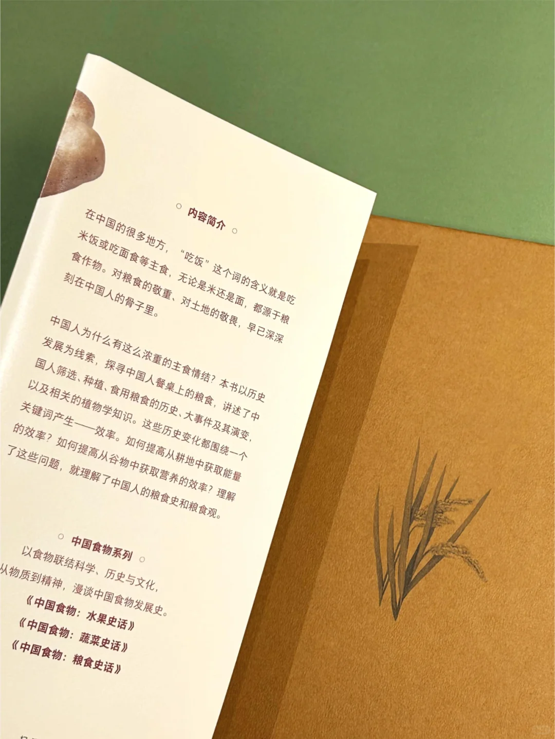 不吃主食就是没吃饭？中国人为什么爱主食？