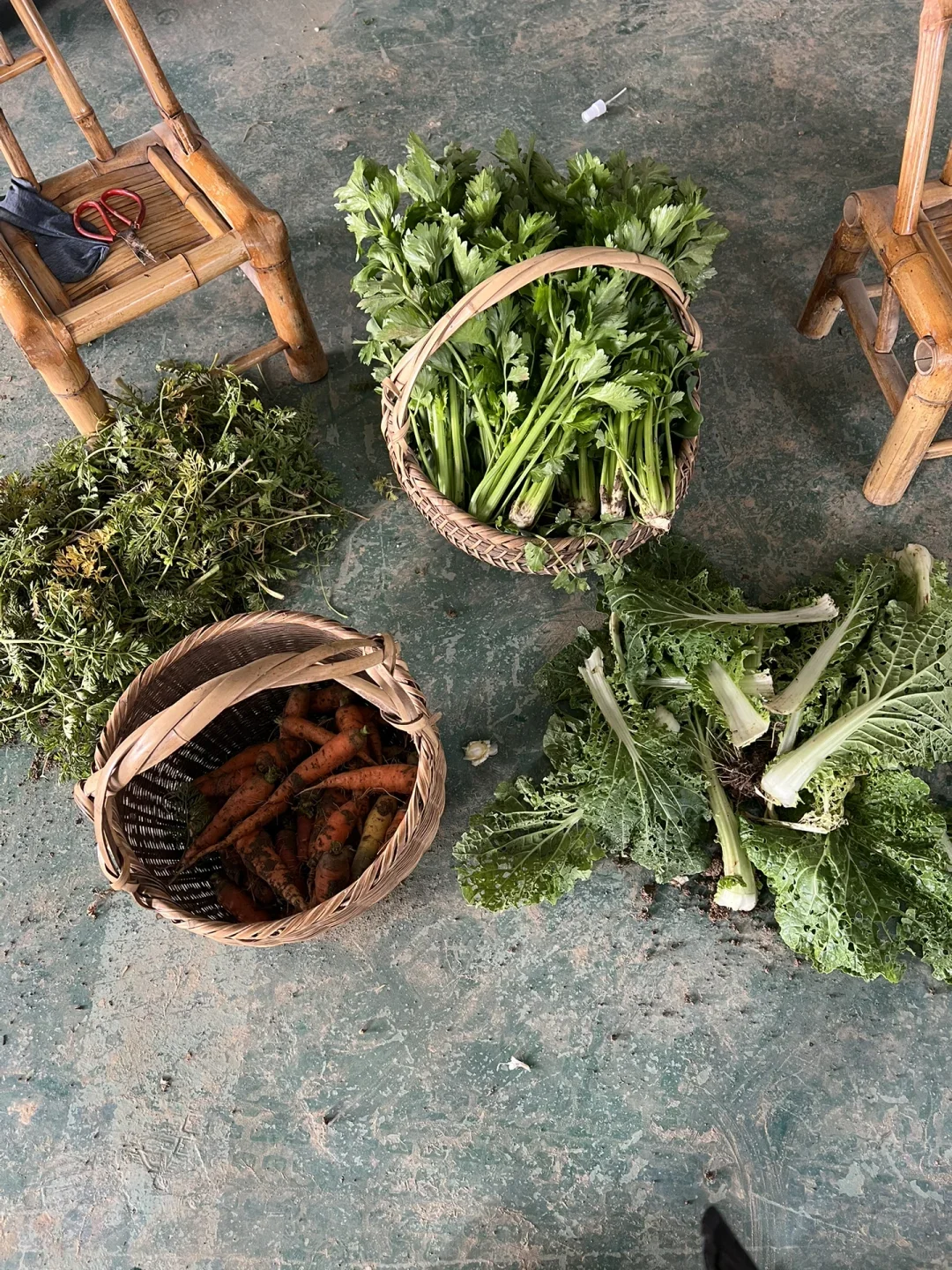 玉曦生态菜！更多妈妈的选择！