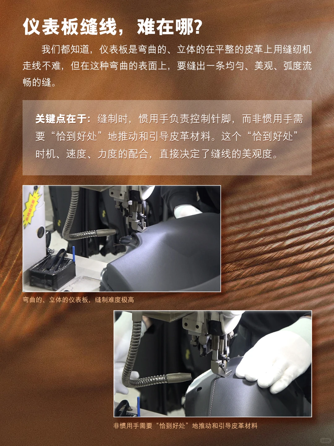 你不知道的雷克萨斯