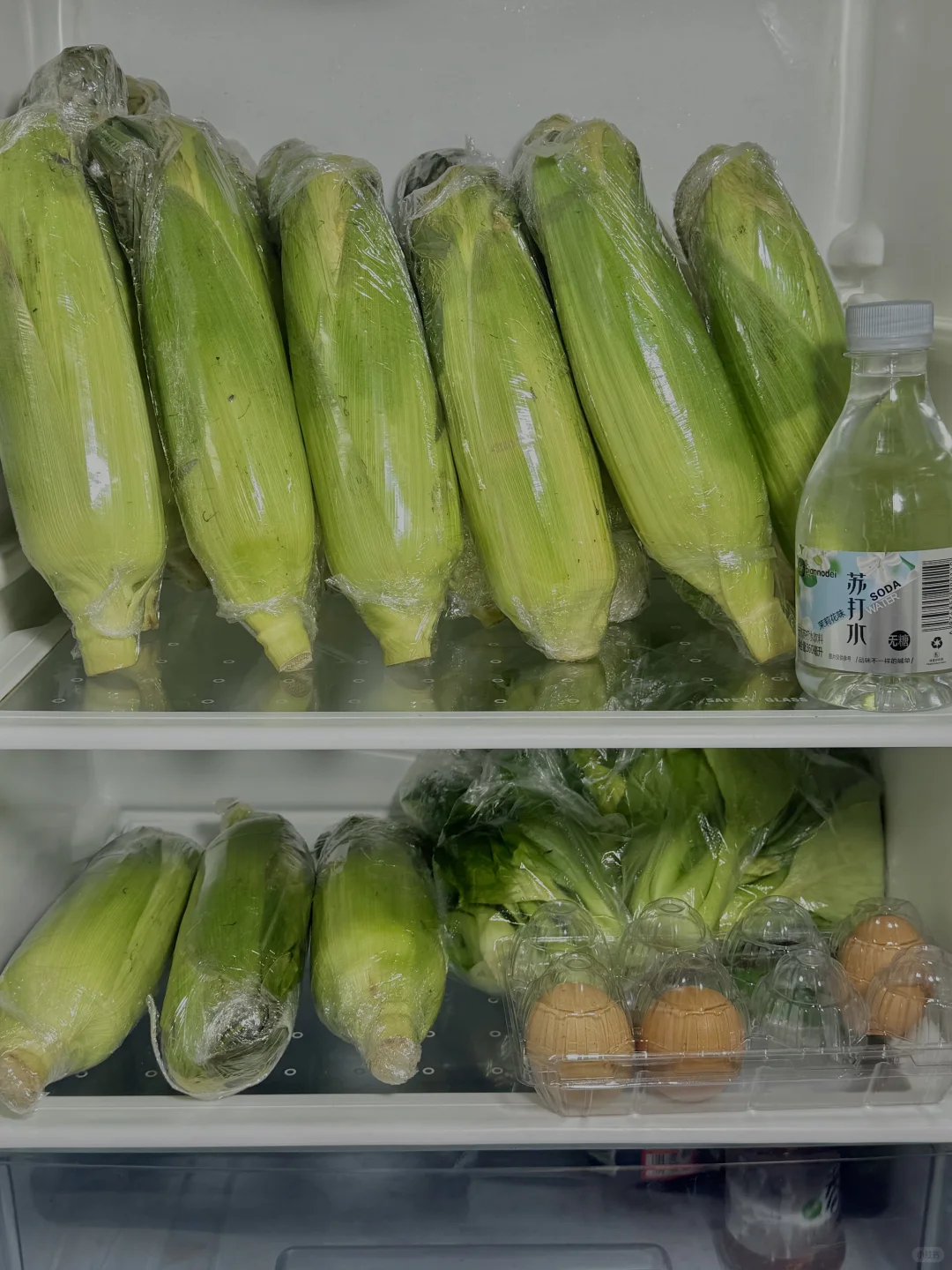 爷爷种的脆甜玉米没人要?就2块一根啊～