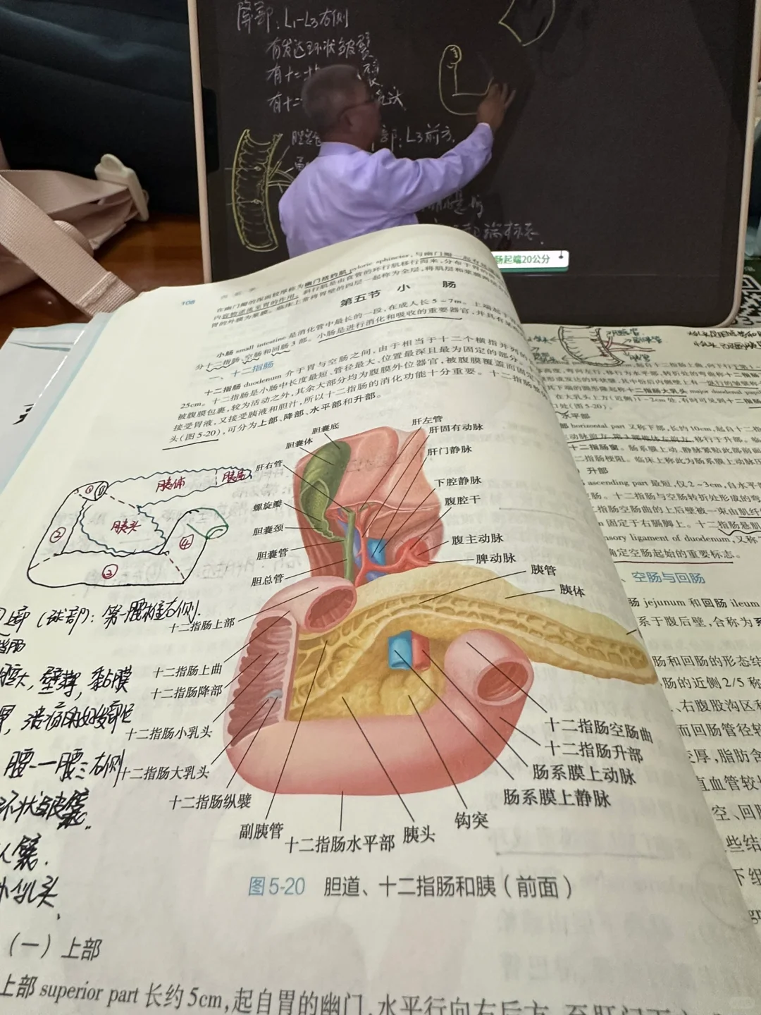 大一医学牲的周末?