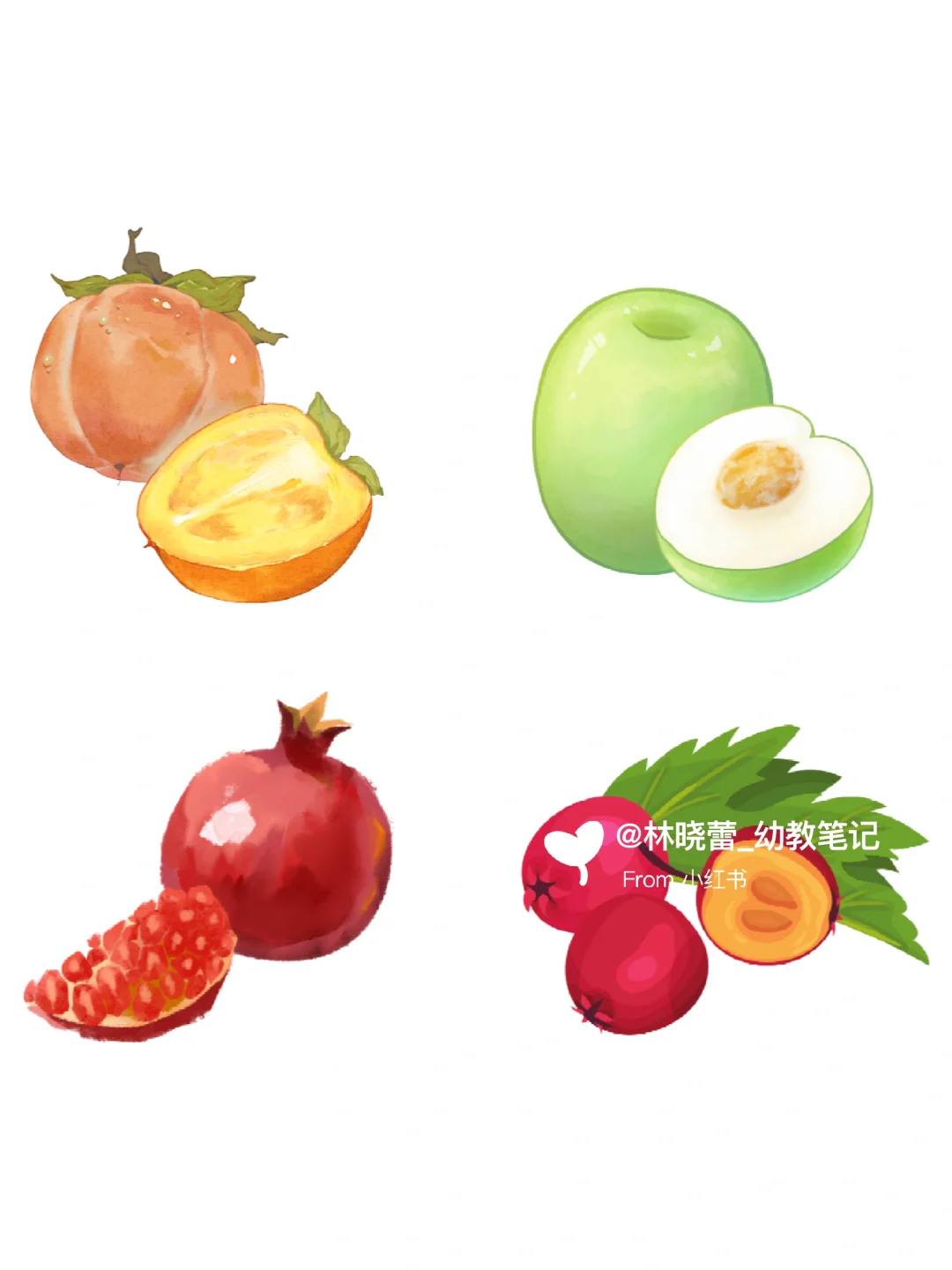 秋天水果环创素材?打印