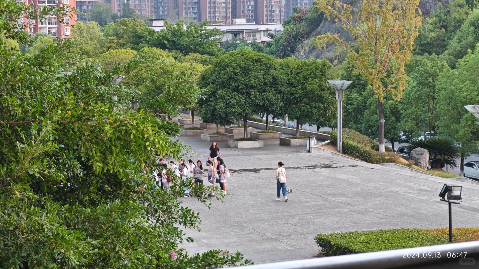 终于第一个来到了电子阅览室!