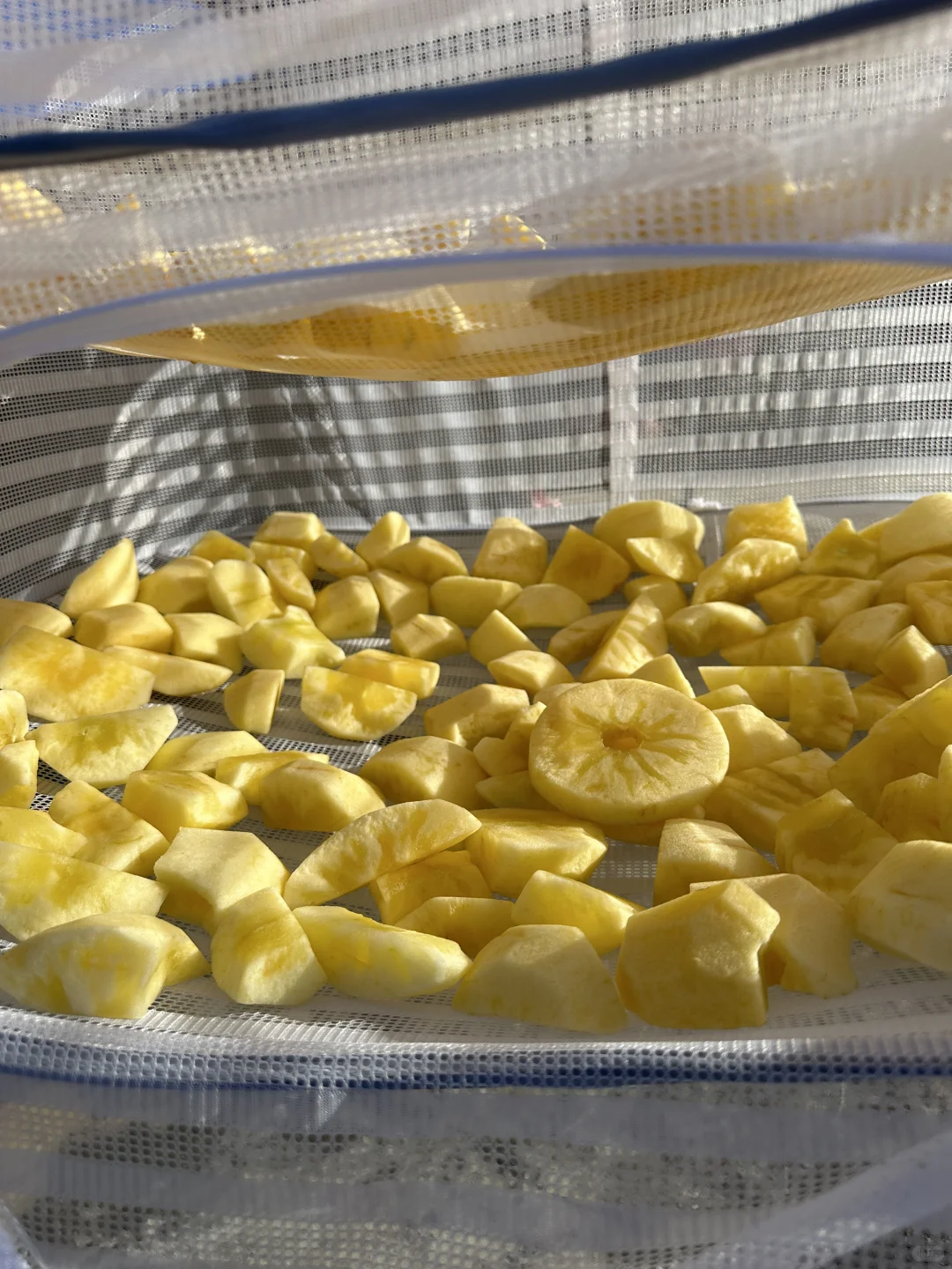 这苹果晒苹果干会不会有点浪费