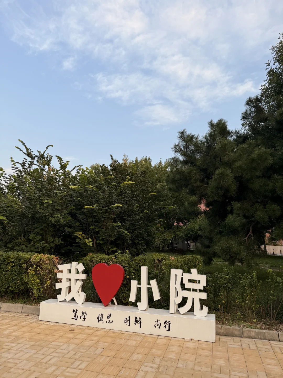 学习还是得图书馆