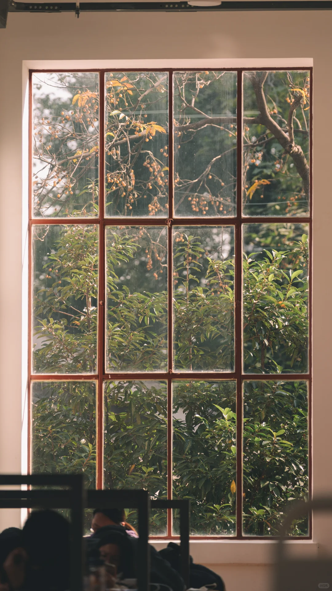 浙江图书馆大学路馆