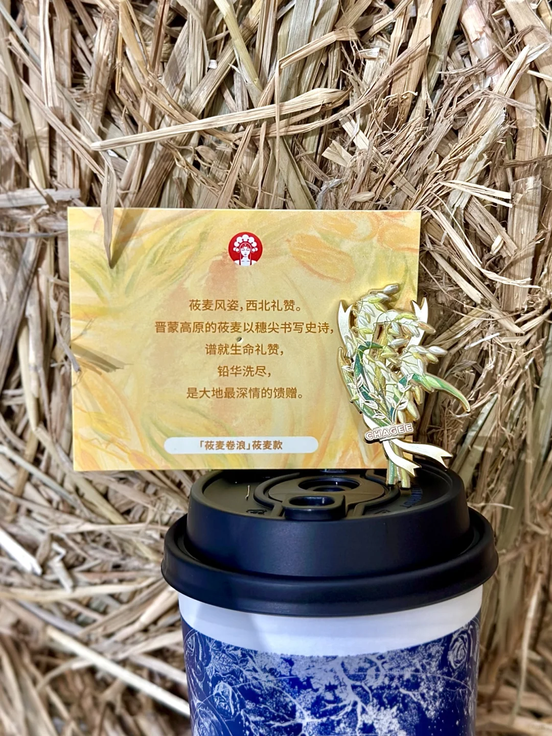 看看茶姬的粮食日周边?缩小版农作物超可爱