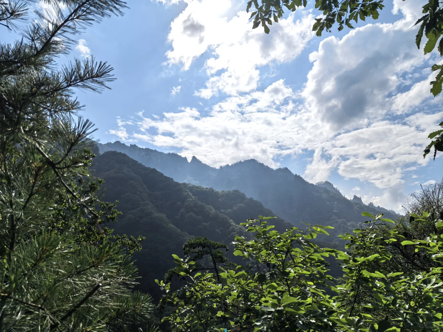 省管林场真职员重磅发文，打破谣言！