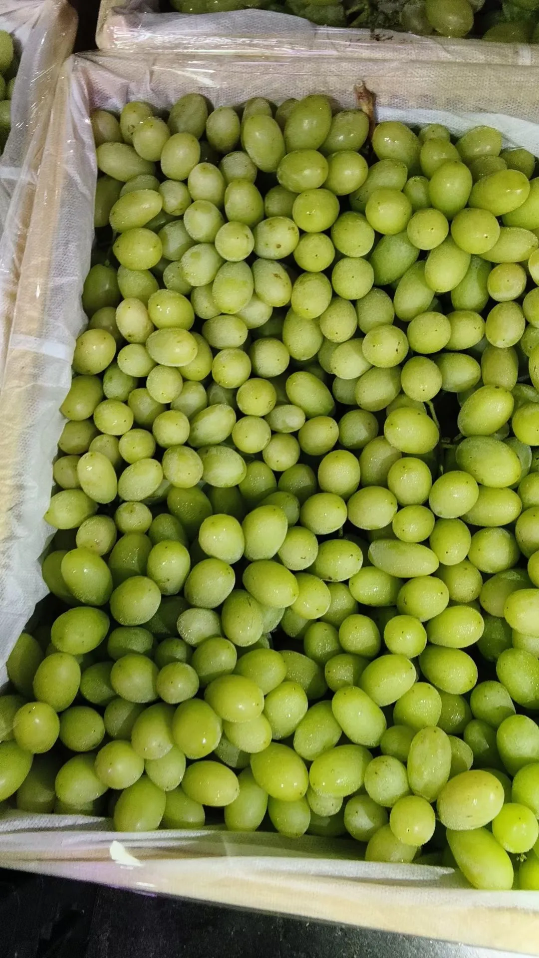 2025年12月5日穗虔优农水果批发价格